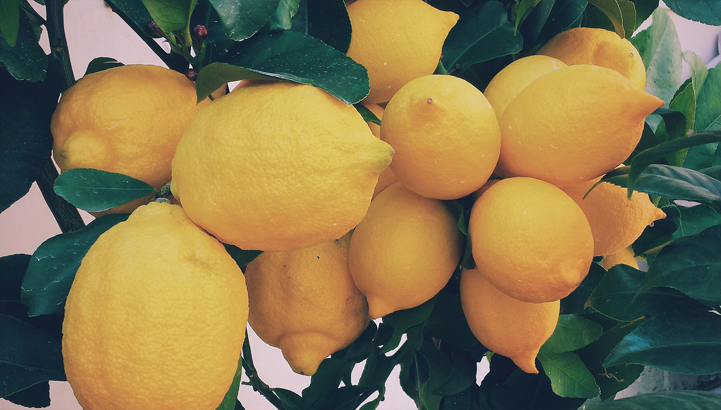 blog 4